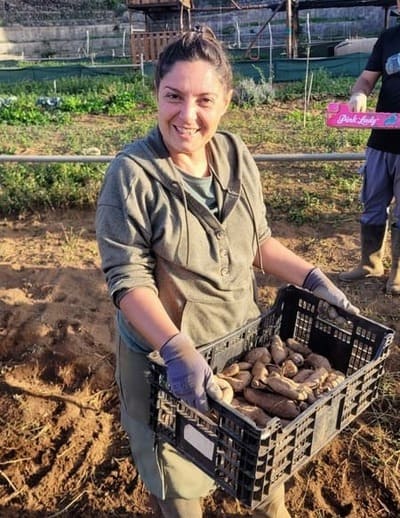 Mitarbeit auf der Finca
