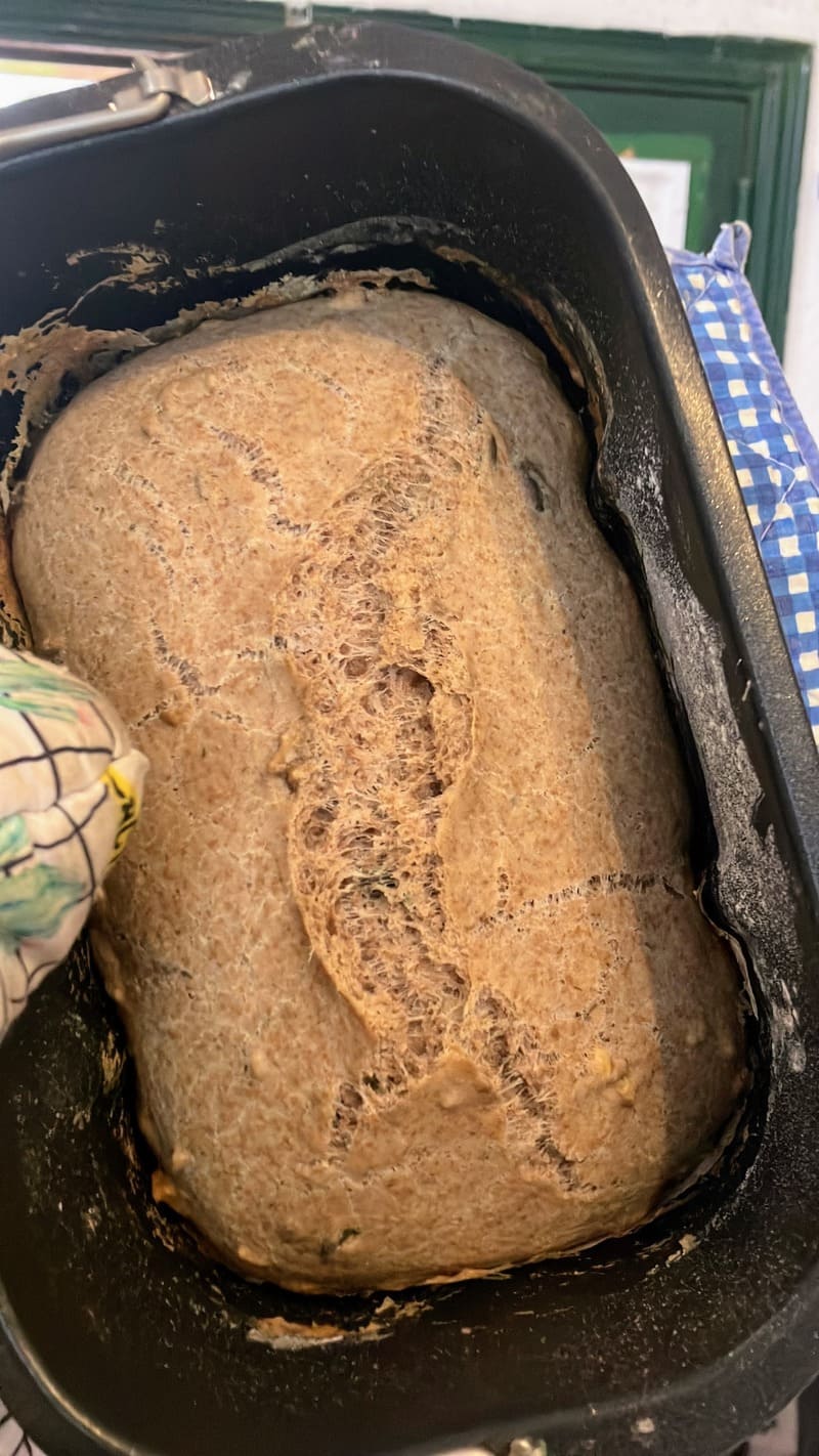 Ein gebackenes Brot mit goldbrauner, aufgerissener Kruste liegt in der länglichen Form des Brotbackautomaten.